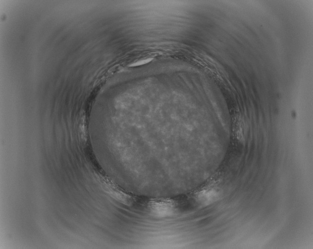 X0000070250510200606301629