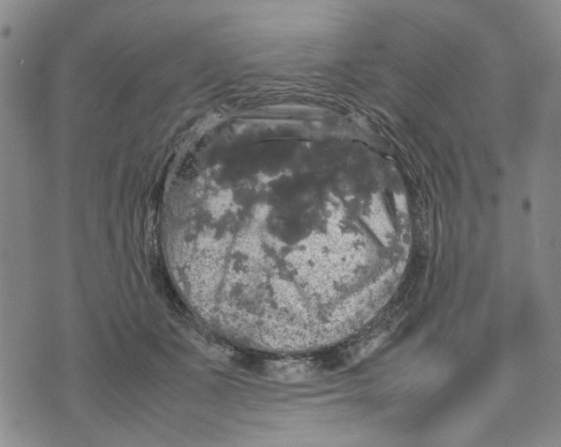 X0000070250511200606301629