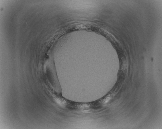 X0000070250513200606301629