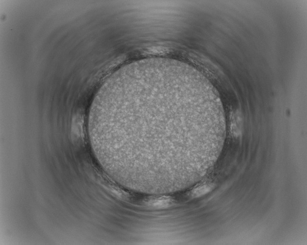 X0000070250514200606301629