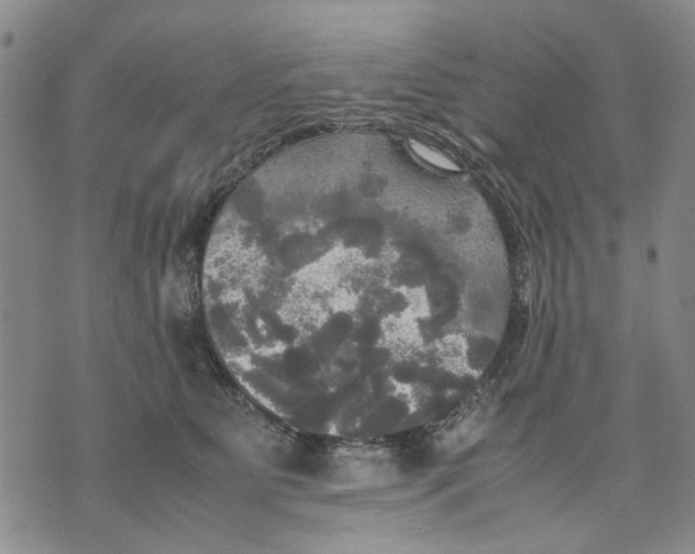 X0000070250515200606301629