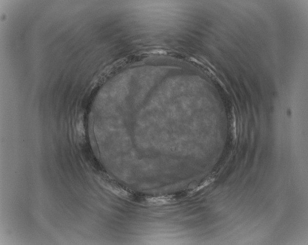 X0000070250516200606301629