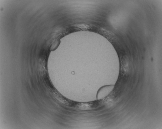 X0000070250518200606301629