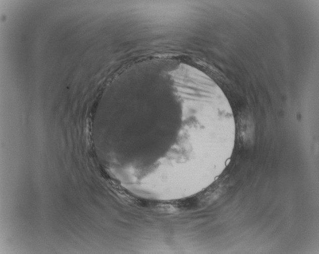 X0000070250519200606301629