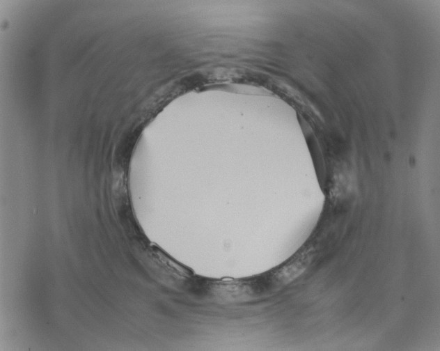 X0000070250521200606301629