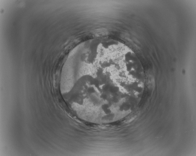 X0000070250523200606301629