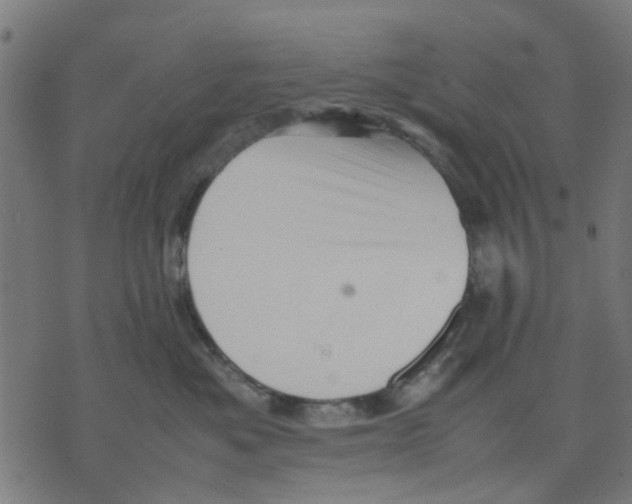 X0000070250525200606301629