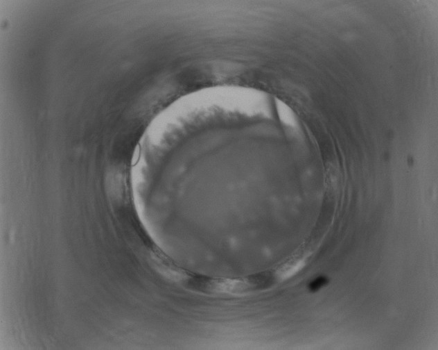 X0000070250527200606301629