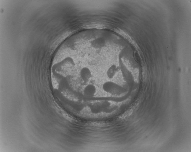 X0000070250529200606301628