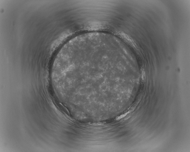 X0000070250540200606301628