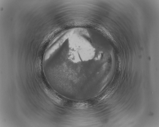 X0000070250542200606301628