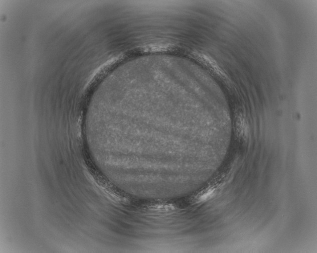 X0000070250543200606301628