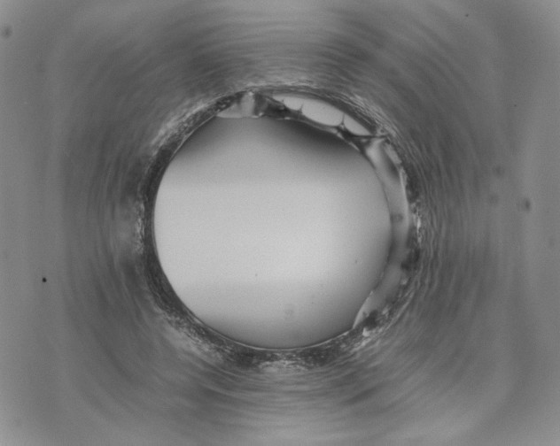 X0000070250544200606301628