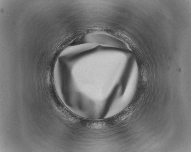 X0000070250546200606301628