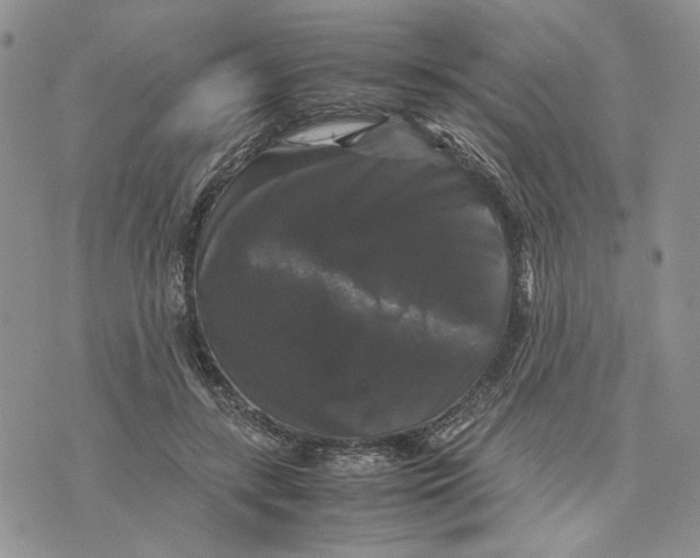 X0000070250547200606301628