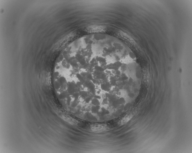 X0000070250549200606301628