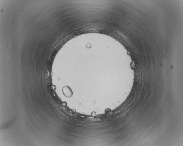 X0000070250552200606301628