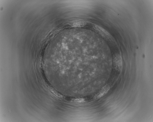 X0000070250554200606301628