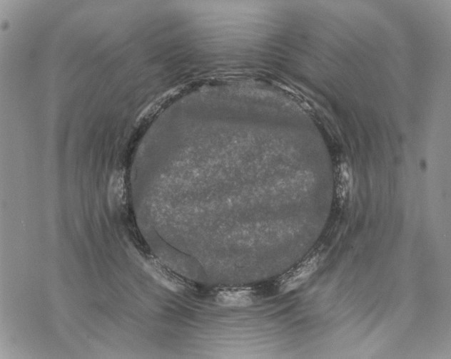 X0000070250560200606301628