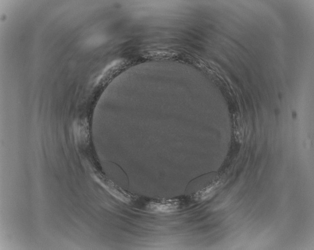 X0000070250563200606301629