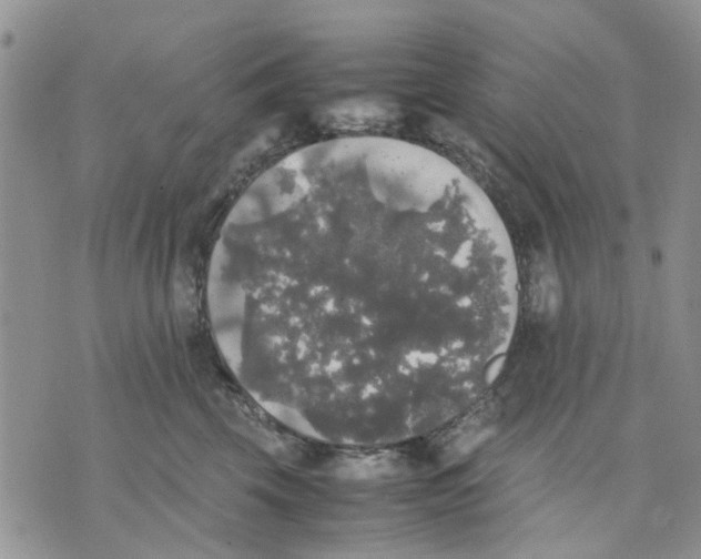 X0000070250569200606301629