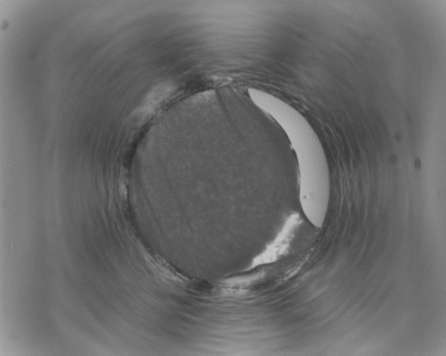 X0000070250570200606301629