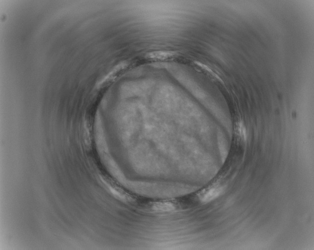 X0000070250572200606301629