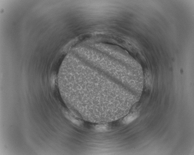 X0000070250574200606301629