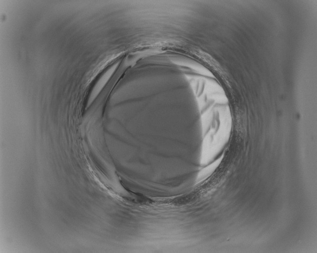 X0000070250577200606301628