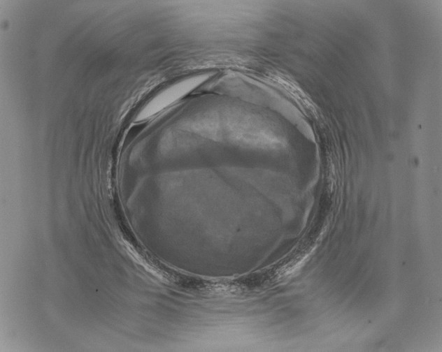 X0000070250585200606301628