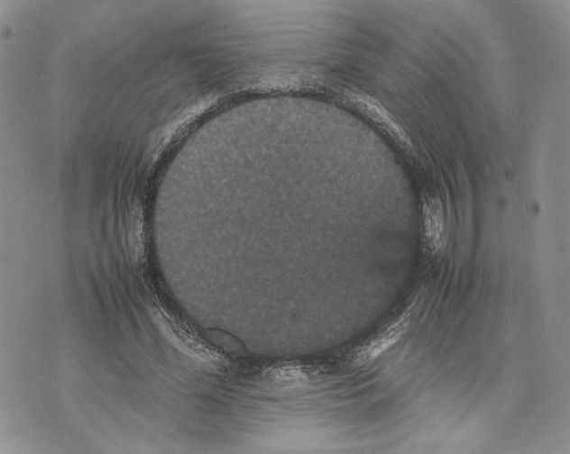 X0000070250588200606301628