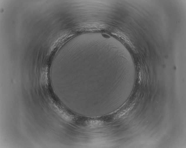 X0000070250590200606301628