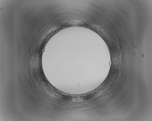 X0000070250591200606301628