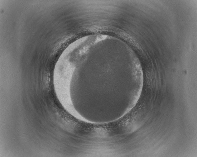 X0000070250592200606301628