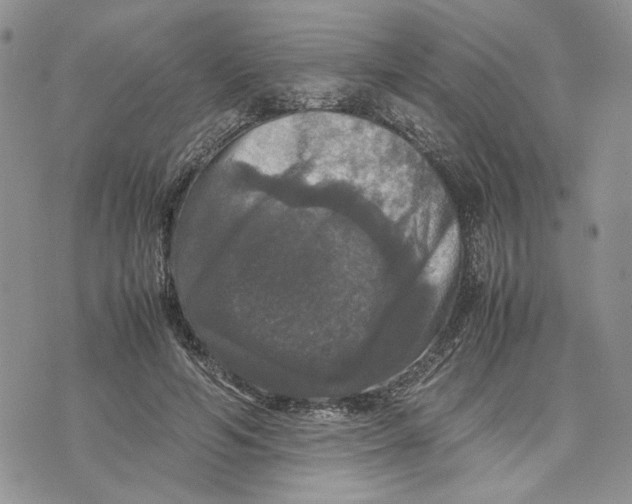 X0000070250594200606301628