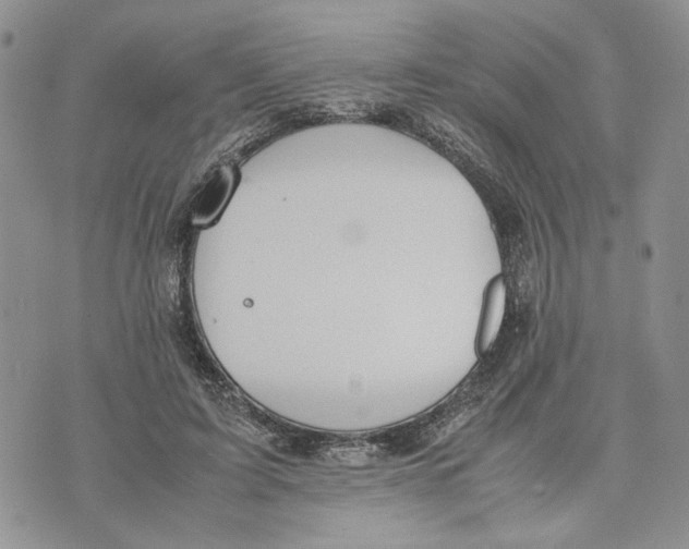 X0000070250595200606301628