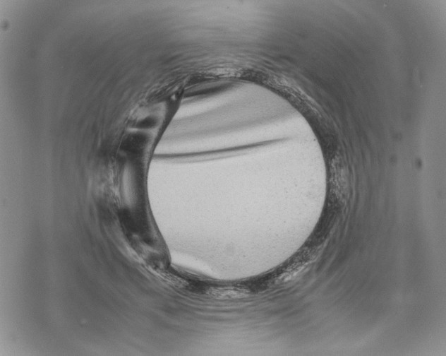 X0000070250597200606301628