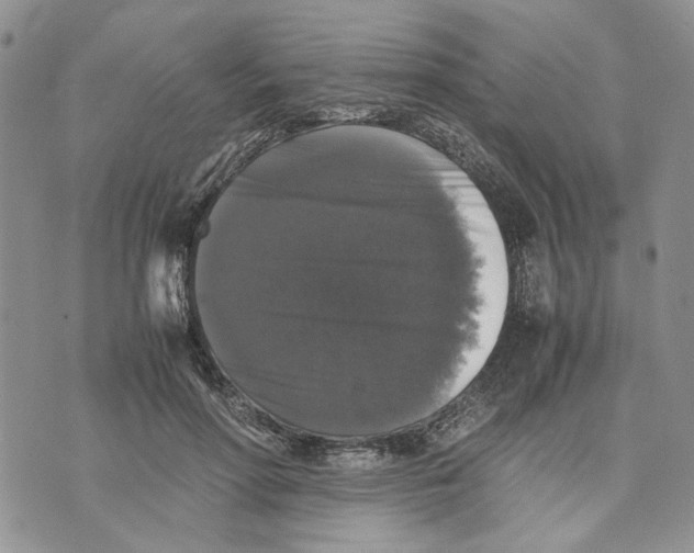 X0000070250598200606301628