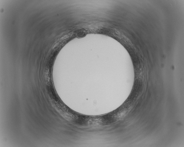 X0000070250599200606301628