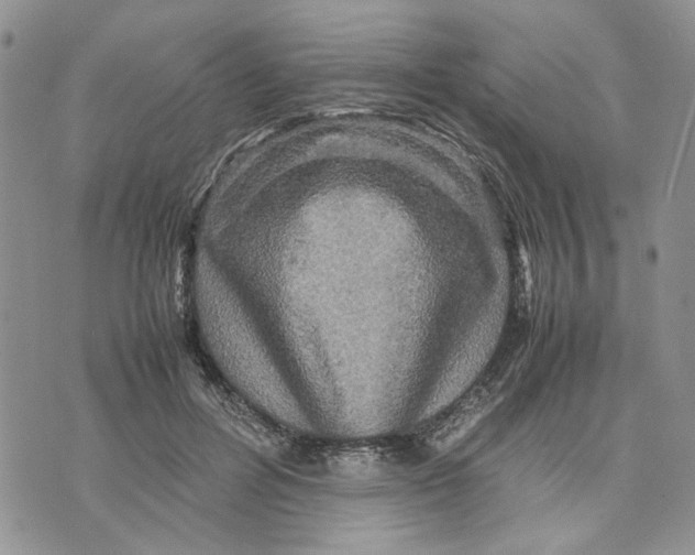 X0000070250600200606301628