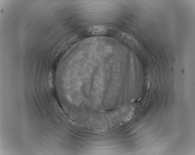 X0000070250604200606301627