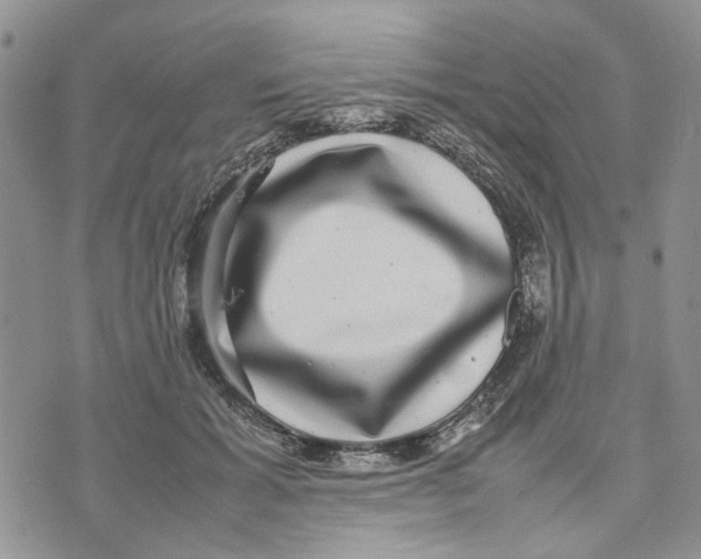 X0000070250605200606301627