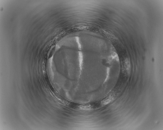 X0000070250606200606301627