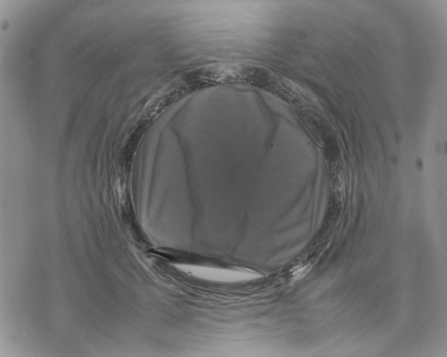 X0000070250607200606301627