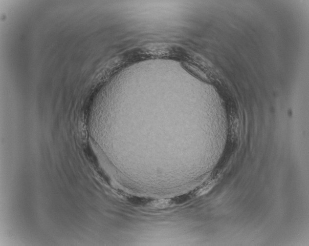 X0000070250609200606301627