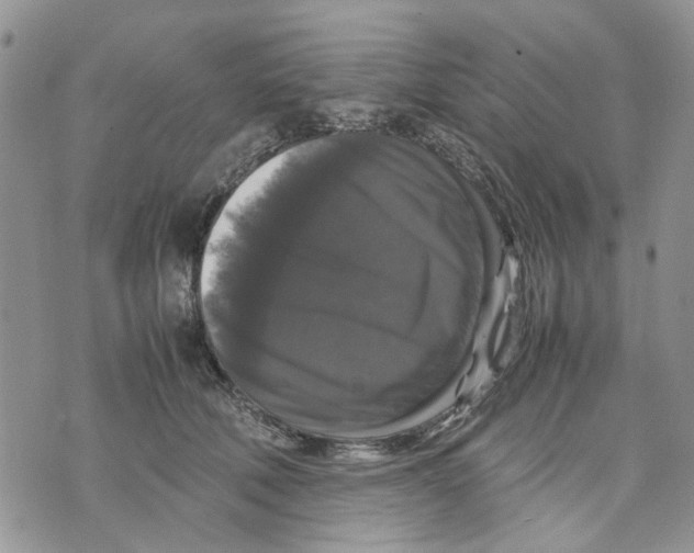 X0000070250610200606301627