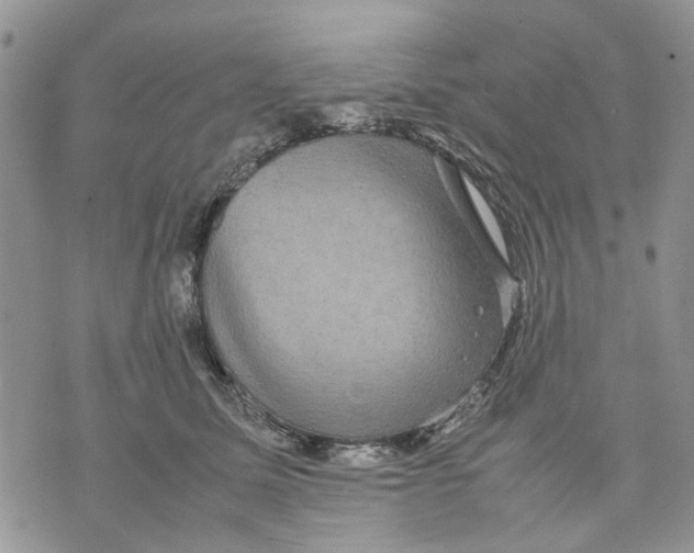 X0000070250611200606301627