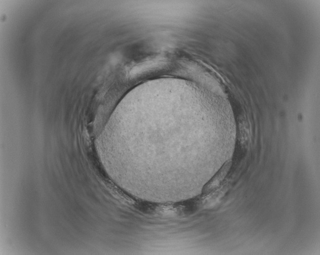 X0000070250613200606301627