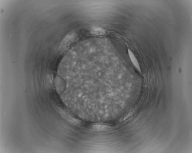 X0000070250614200606301627