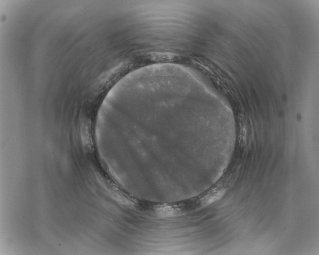 X0000070250616200606301627